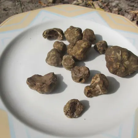 Casa Lucia Semesterbostad *